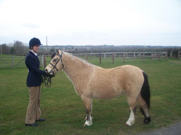 ILPH Barley with Lizzie