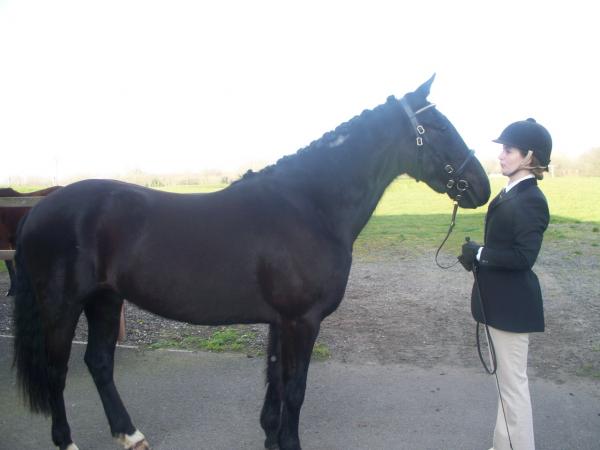 ILPH Butler with his Groom Amy