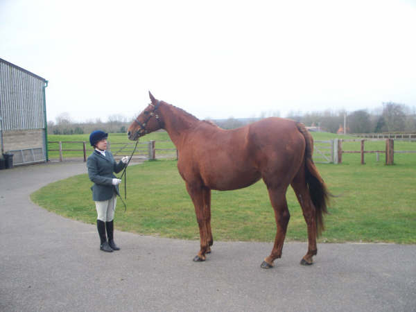 ILPh Inca with her Groom Adele