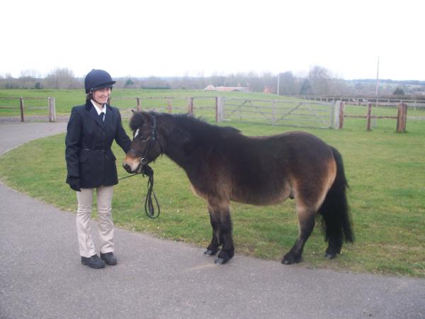 ILPH Marmite with his groom Claire, he has now been rehomed
