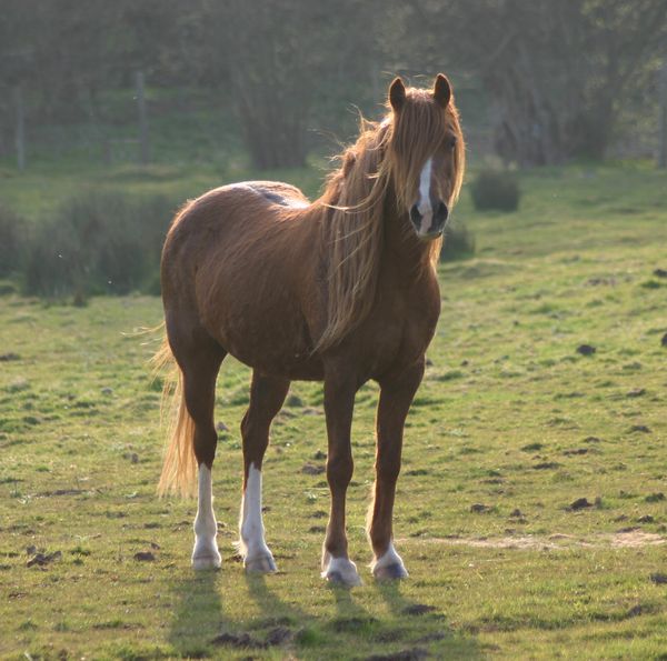 Jaz looking pretty last spring