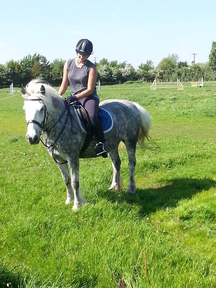 Jess, Lunan's new rider playing in the field with him