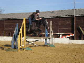 Jumpies