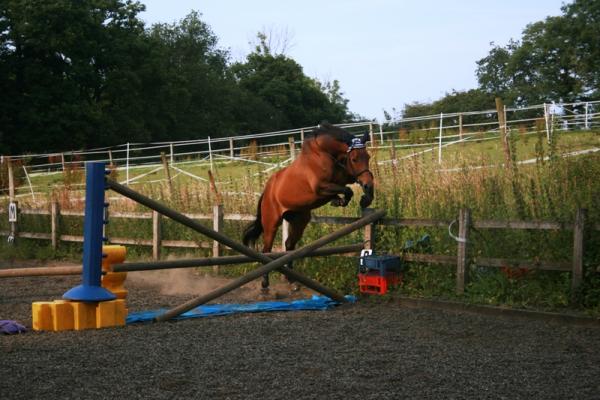 Jumpies!!!