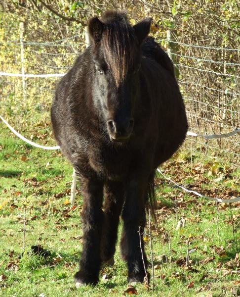 Katla :( Miss you darling :( R.I.P.