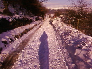 Lane to yard, frozen.. brrrrrr!