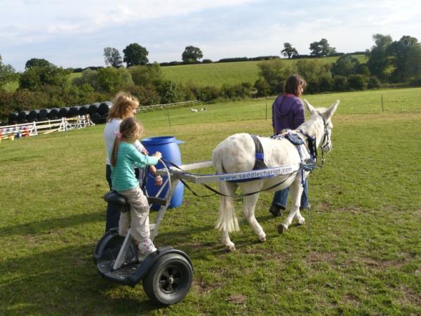 Laurie and his saddle chariot