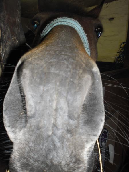 Luca giving kisses to the camera