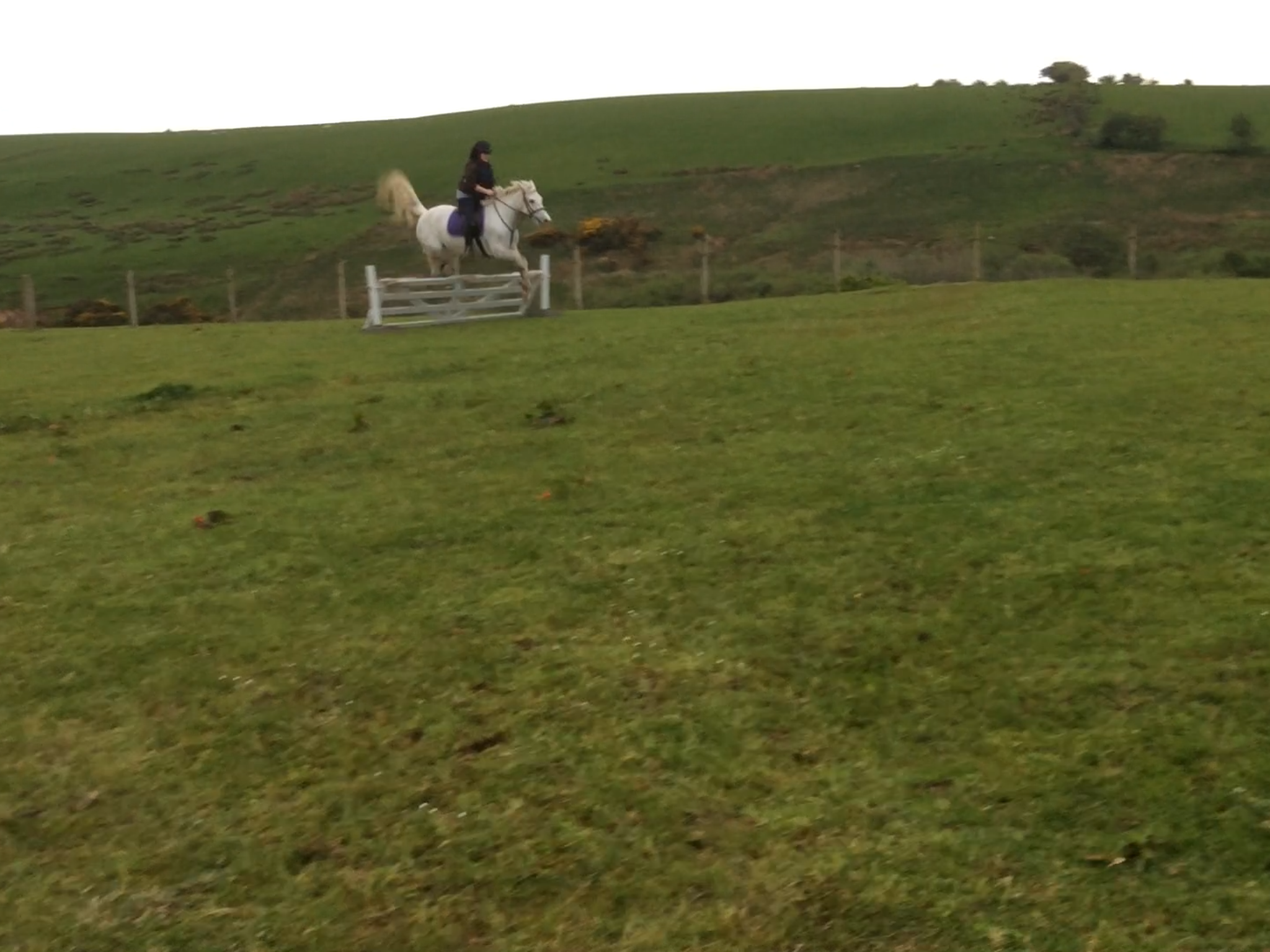 Lucy and i cross country practice in the field.
