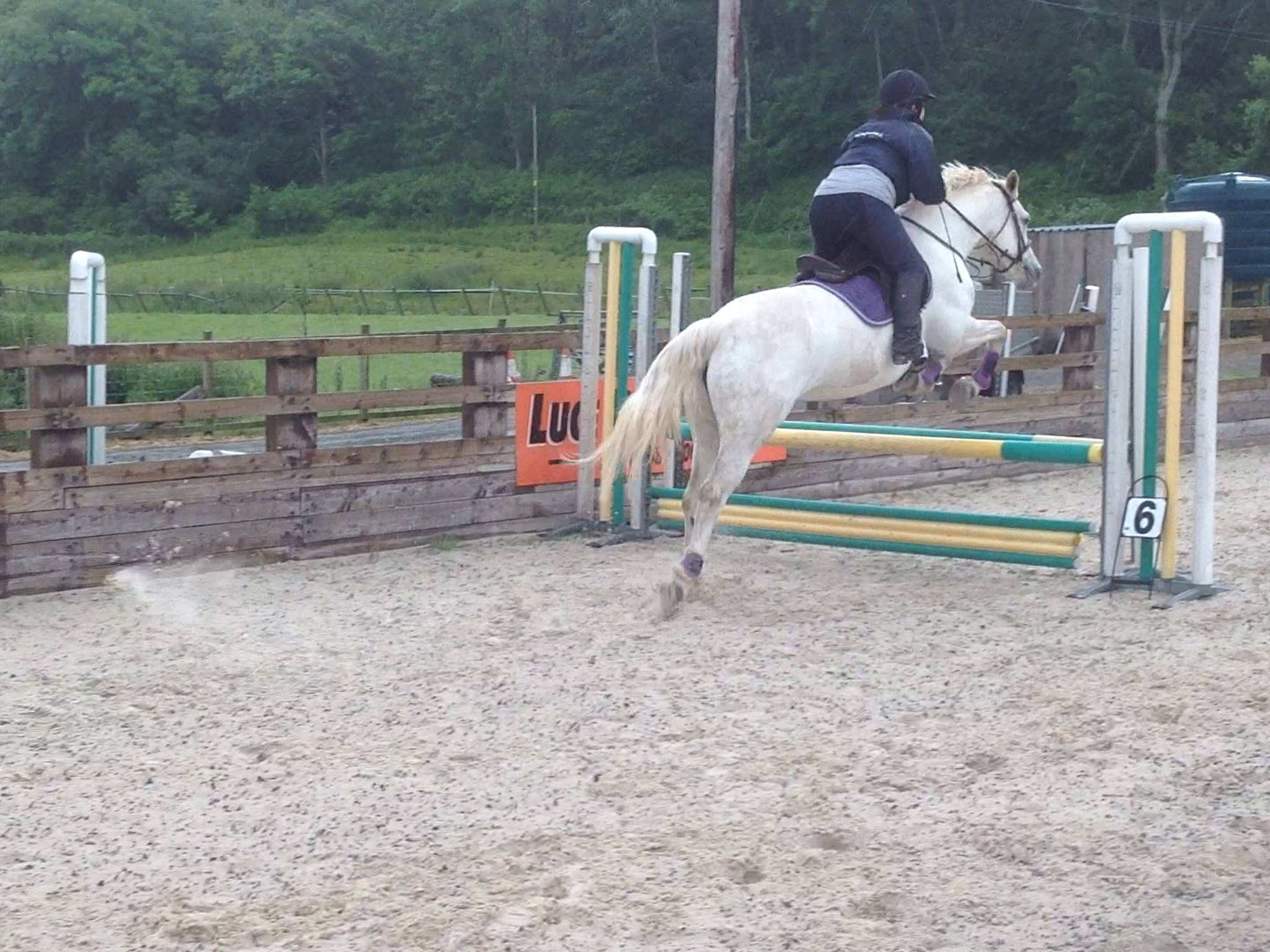 Lucy and i jump training.