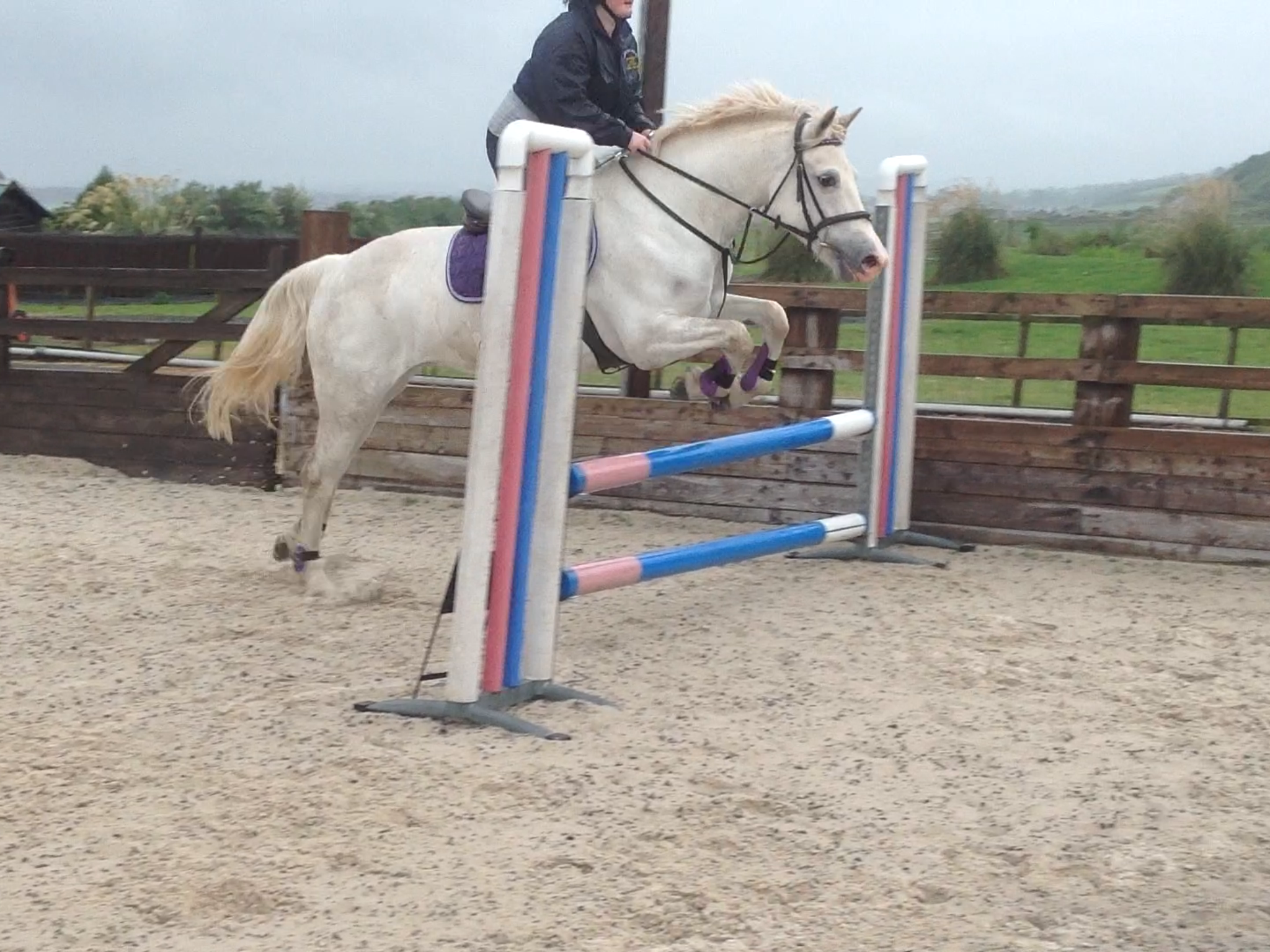 Lucy and i jump traning.