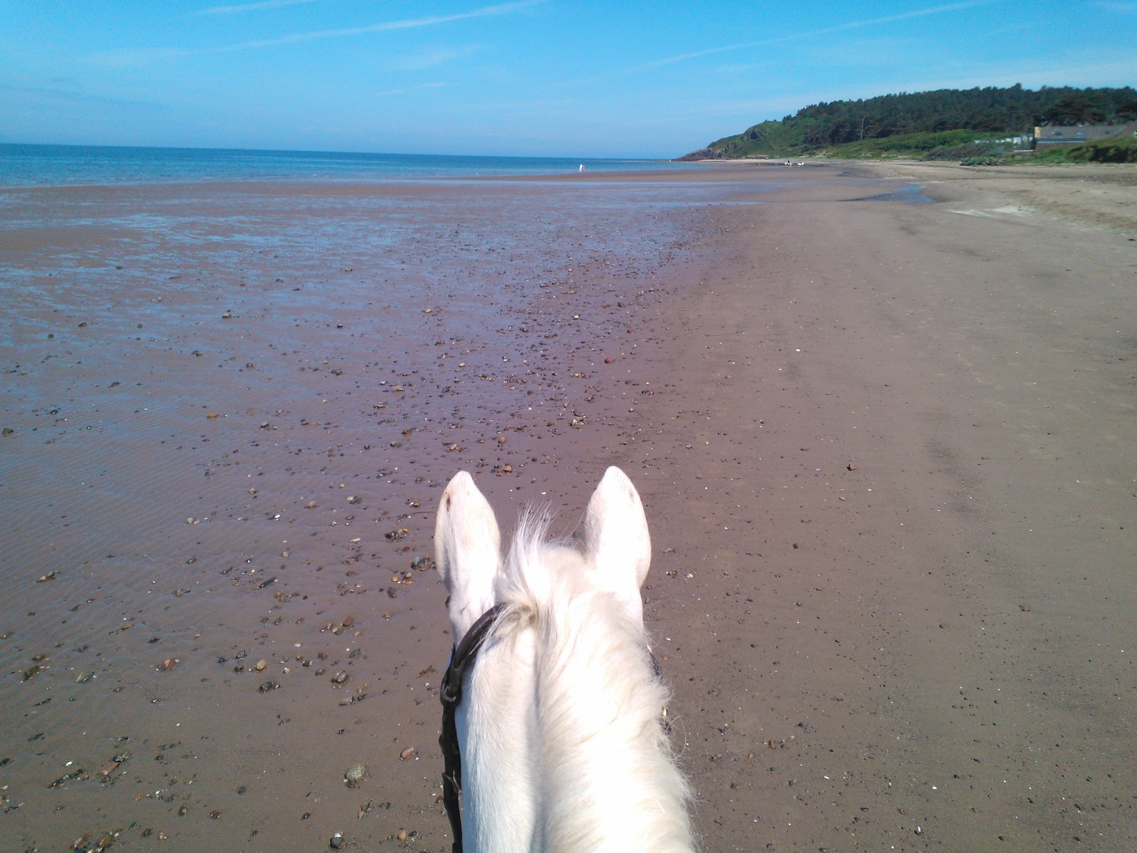 Lucy and i ready for a gallop on the beach