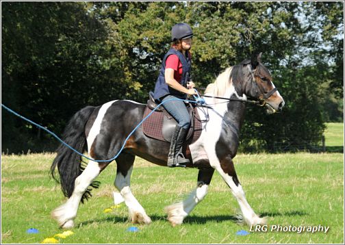 Maypole at Trec
