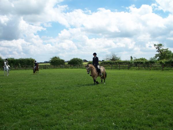 Me and Maypark Goldenboy Showing