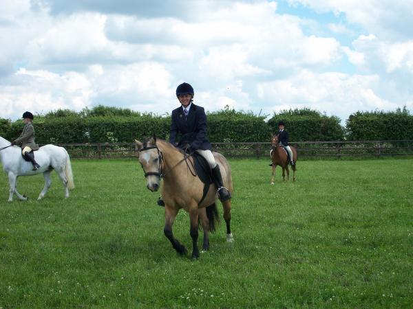 Me and Maypark Goldenboy showing