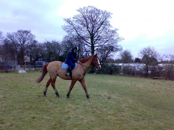 Me and Sovereign
