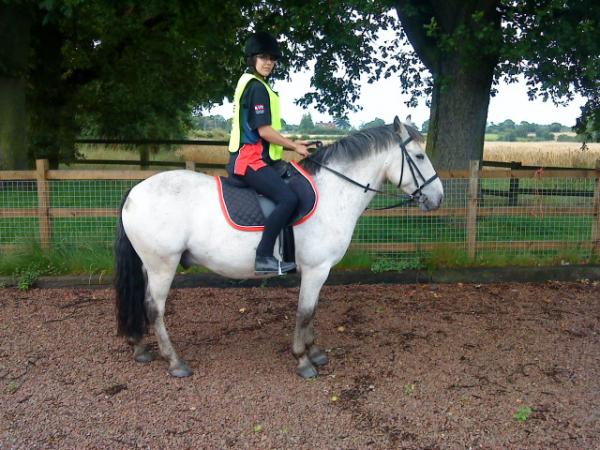 Me&Finno