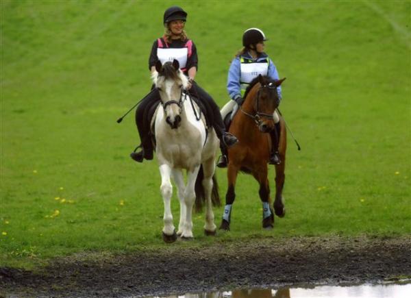 Mimi eyes up the water jump - she likes water, maybe a bit too much!