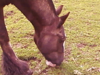 munching 2
