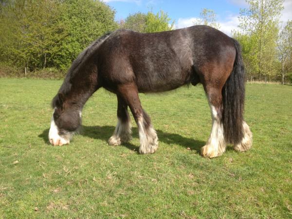 My new boy Mr Myles