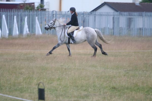 Not much control here. Although, the judge did beep her horn as we went past, to tell me I had not picked up canter, hmm I wonder why!