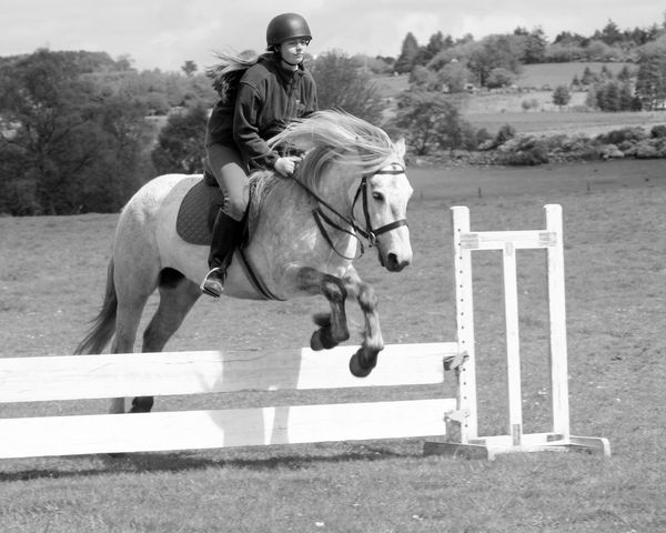 Not quite as speedy as last time.  We managed to go over it instead of disappearing up the hill. lol