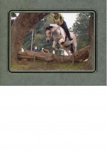 One of our few attempts at jumping!