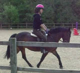 Percy