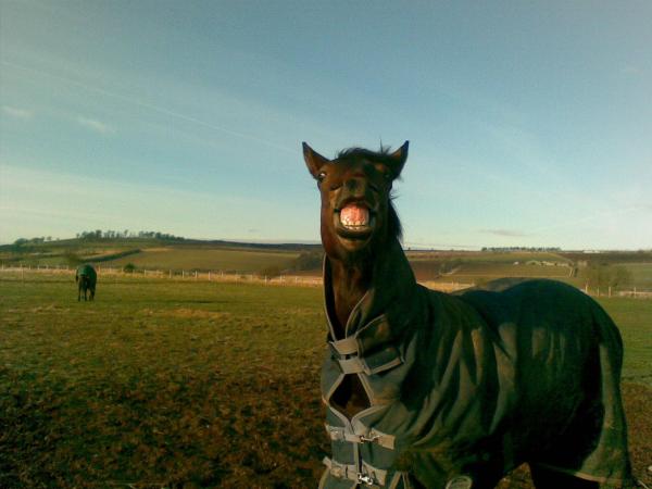 Picture 007 | New Rider Forum
