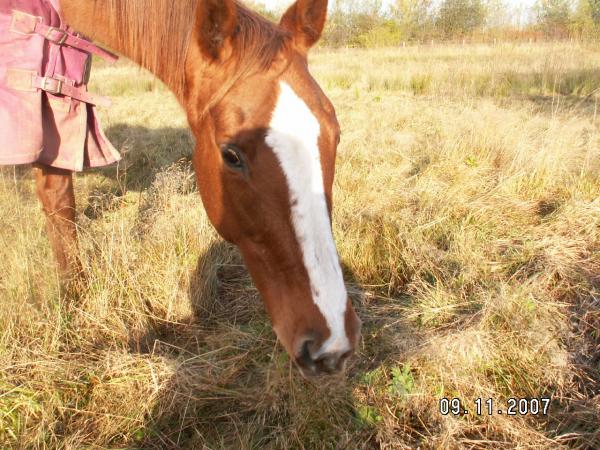 Pretty girl