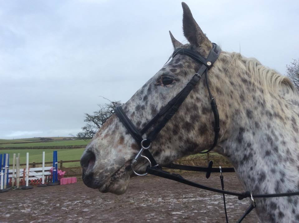 Pretty Spotty