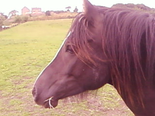 Profile 1/8