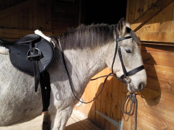 Ready for a ride :)