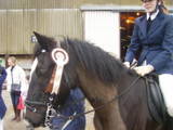 rosette