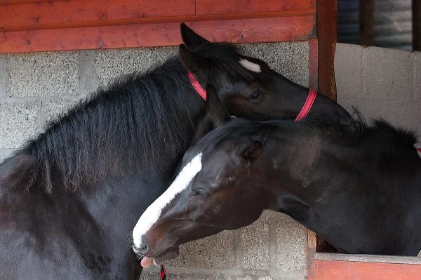 Snuggling with his next door neighbour/girlfriend lol :-)