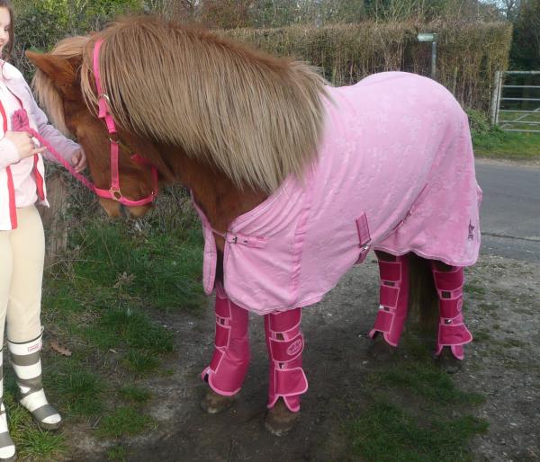 Solvi (barbie horse)