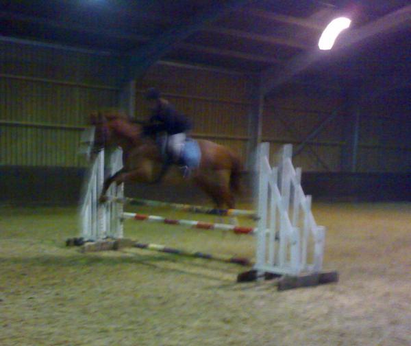 Sov jumping
