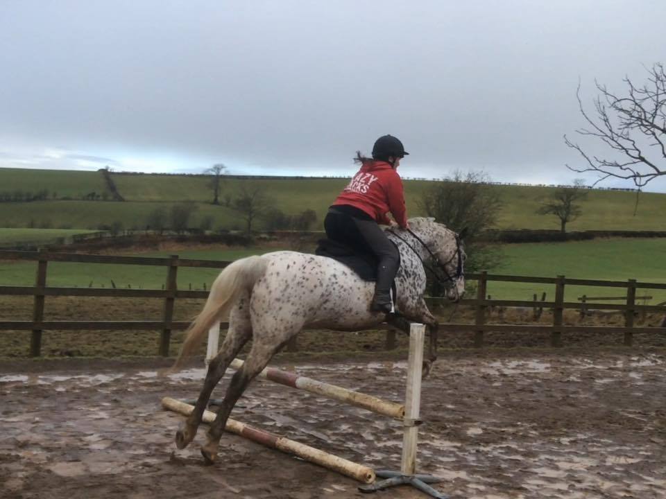 Spotty and i first jumping lesson