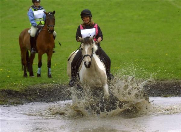 Starting to have a splashing time ...