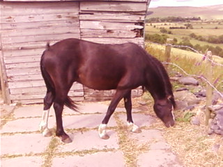 Still nibbling away LOL :)
