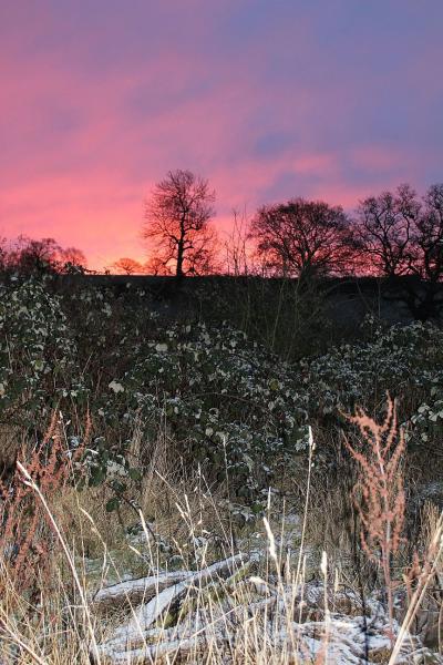Sunrise at Thistledown