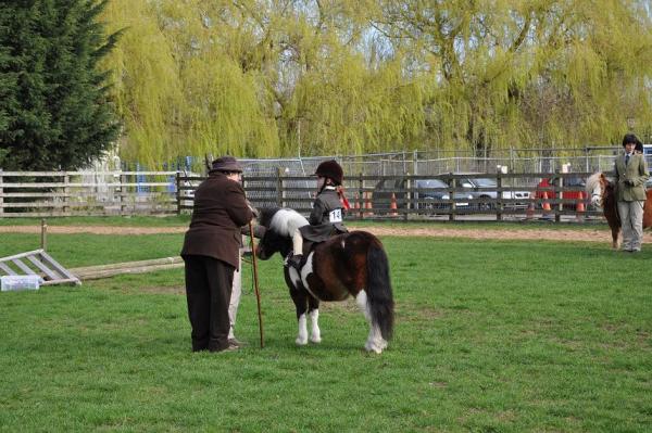 Talking to the judge!