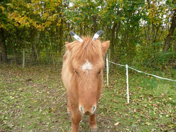 "thats it,im ringing childline"!