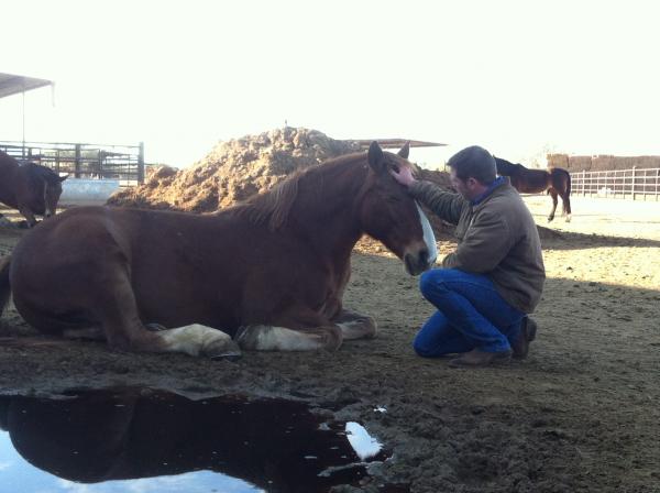 This is Yogi. I worked with him for a few hours and this is the bond we built.