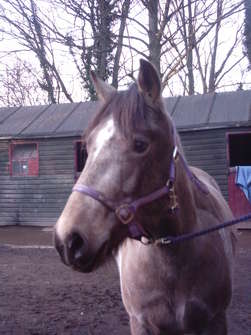 Tilly