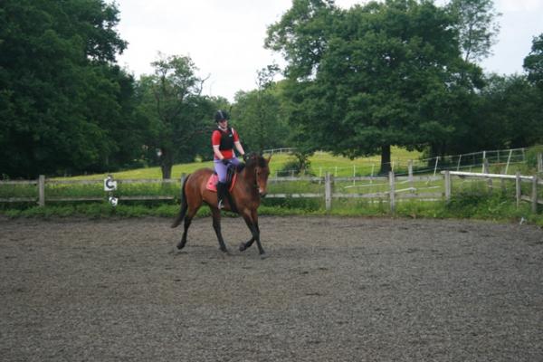 Trot sequence - 1