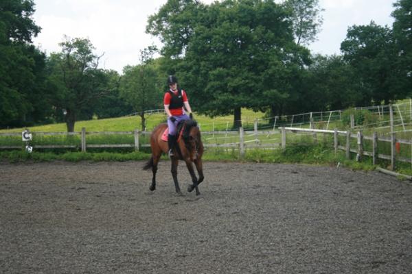 Trot sequence - 3