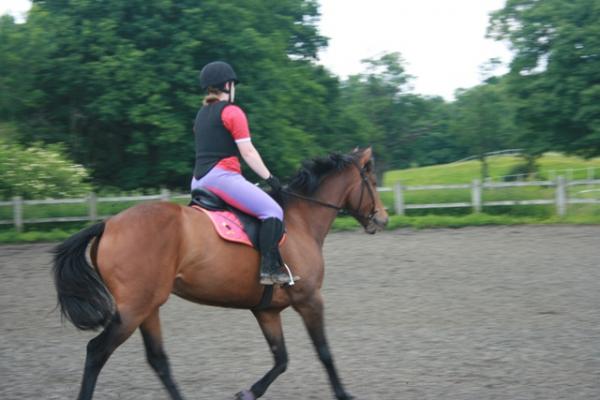 Trot
