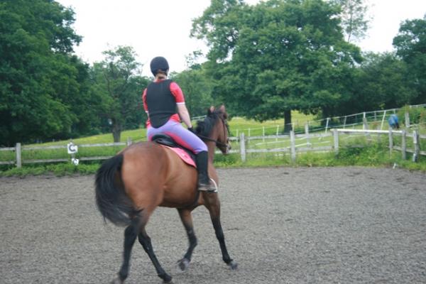 Trot