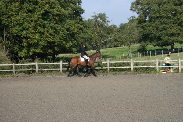 Trot